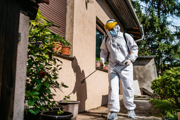 Best Mosquito Control Services  in Belpre, OH