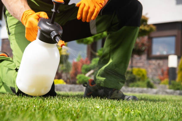 Best Pest Removal Services  in Belpre, OH