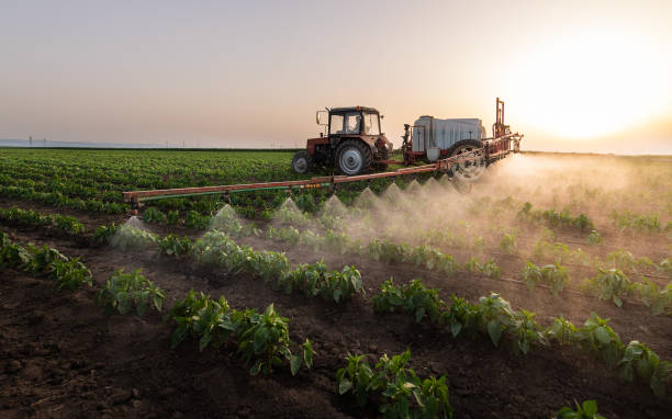 Best Commercial Pest Control Services  in Belpre, OH