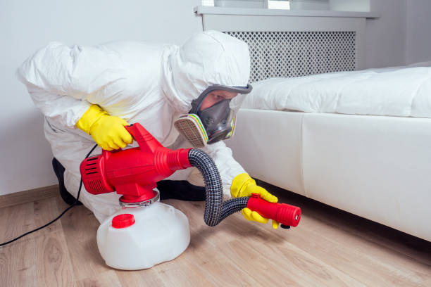 Best Best Pest Control Companies  in Belpre, OH