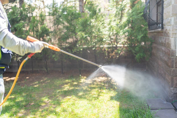 Professional Pest Control in Belpre, OH