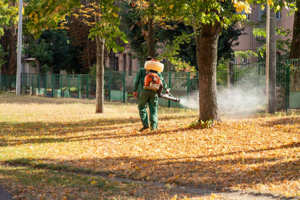 Best Pest Control Near Me in Belpre, OH