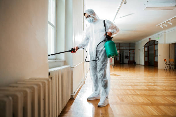 Best Bed Bug Extermination  in Belpre, OH